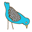 bird-aqua+blue-eat